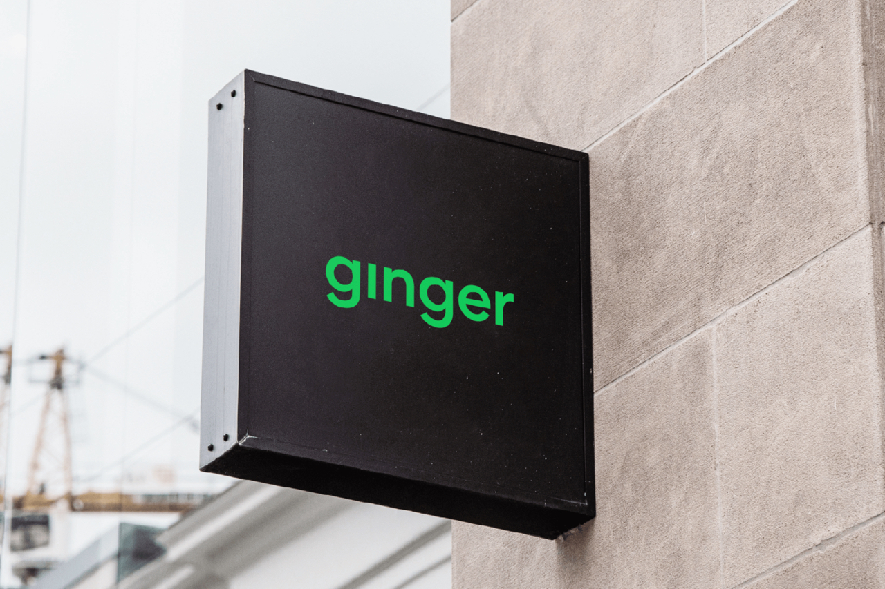 ginger_2 ginger_2